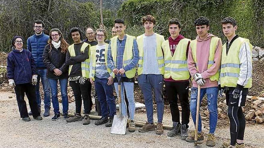 Alumnos plantan árboles en un camino de Sóller