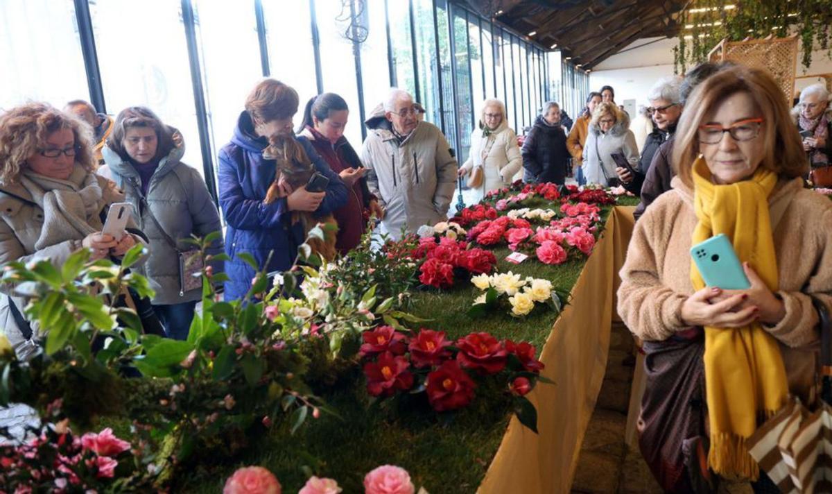 Muchas son las variedades que se pueden presenciar en A Peixería.  | // NOÉ PARGA