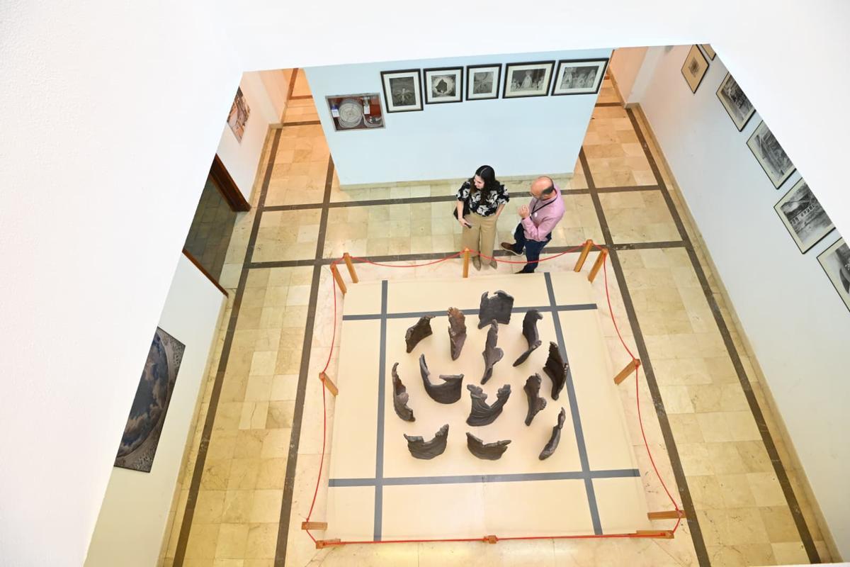 Exposición fotográfica y conjunto escultórico en la Casa de La Festa.