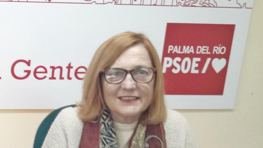 El PSOE de Palma afronta un "paréntesis" para "retomar el camino del progreso"