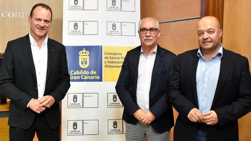 Agüimes acoge el primer concurso regional de aceite de oliva virgen extra