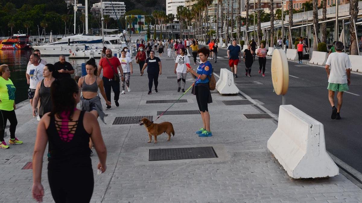 Numerosa gente pasea y hace deporte por el Muelle 1, este sábado.