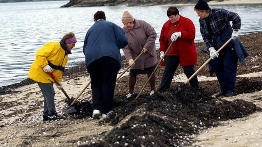 Mariscadoras trabajando en la limpieza de la arena de Lourido en enero de 2003