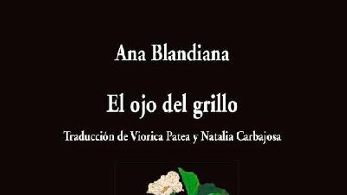 El ojo del grillo