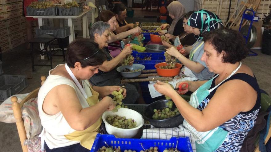 La integración llega con  el oficio de «estisoradora»