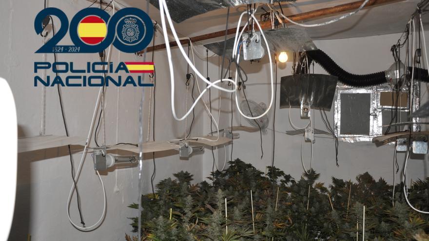 Cae una banda en Écija (Sevilla) con seis detenidos sorprendidos 'in fraganti' con 60 kilos de marihuana.