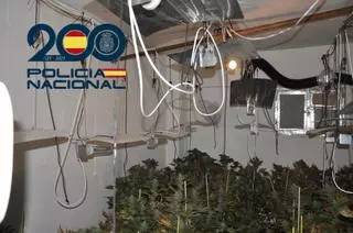 Seis detenidos sorprendidos 'in fraganti' con 60 kilos de marihuana en Écija