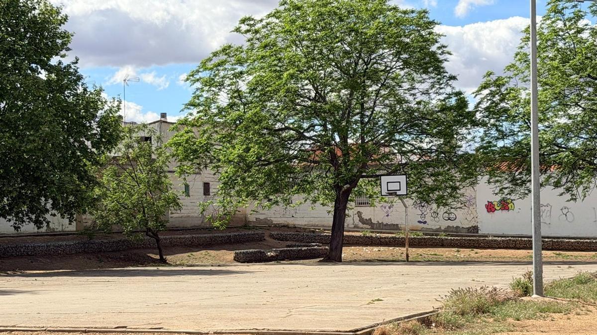 Aspecto actual de una de las pistas deportivas muy degradadas.