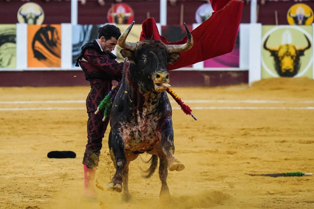 Las imágenes de la corrida picassiana de la Feria de Málaga 2019