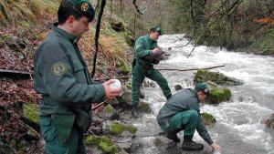 Agentes del Seprona tomando muestras de agua en un río