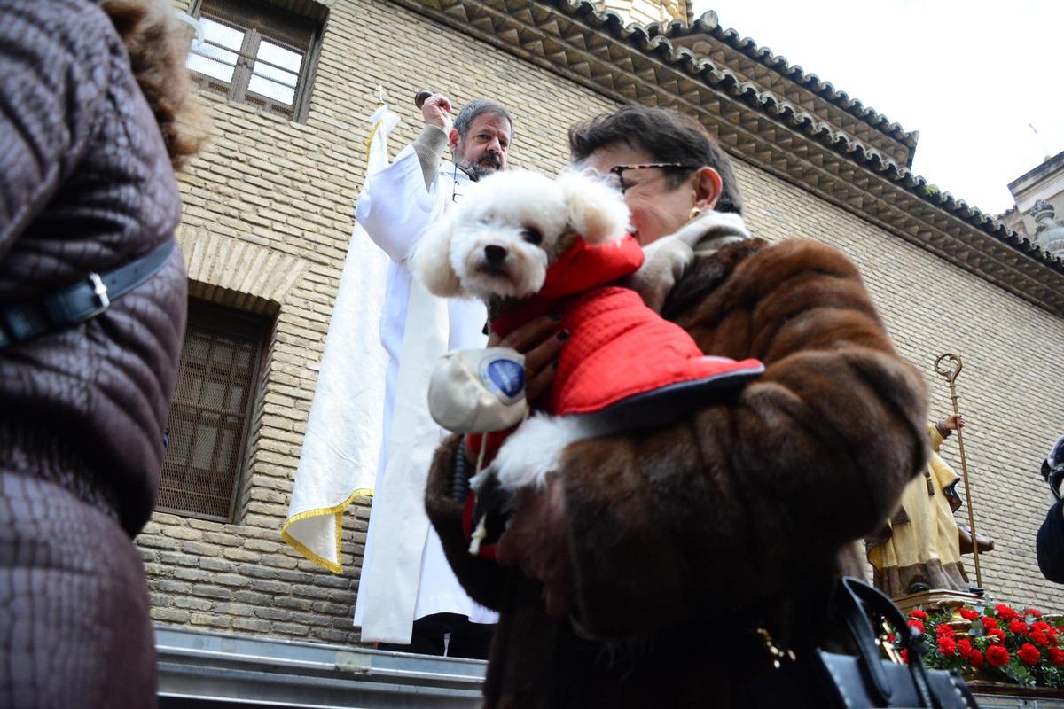 En imágenes | Bendición de los animales por San Antón en la iglesia de San Pablo