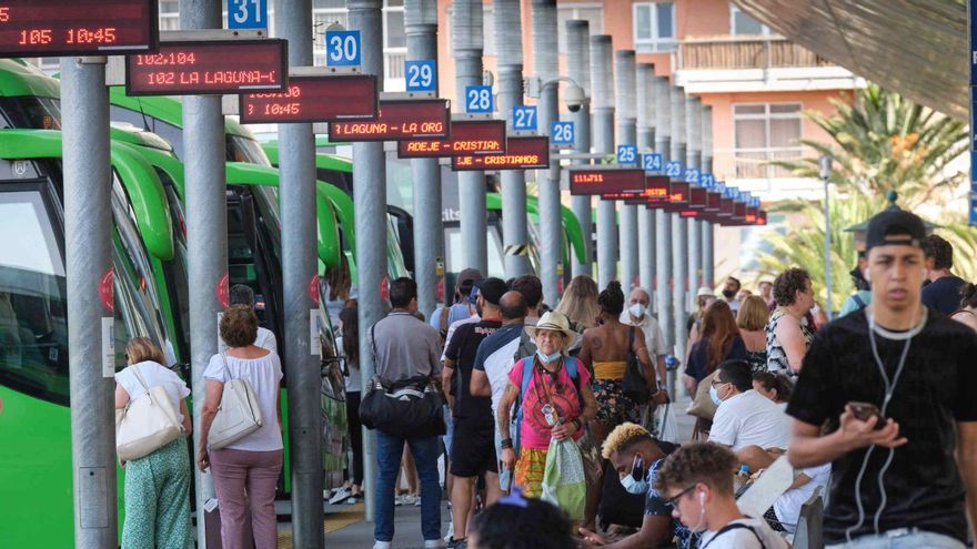 Titsa will urgently incorporate 20 buses to reinforce its lines