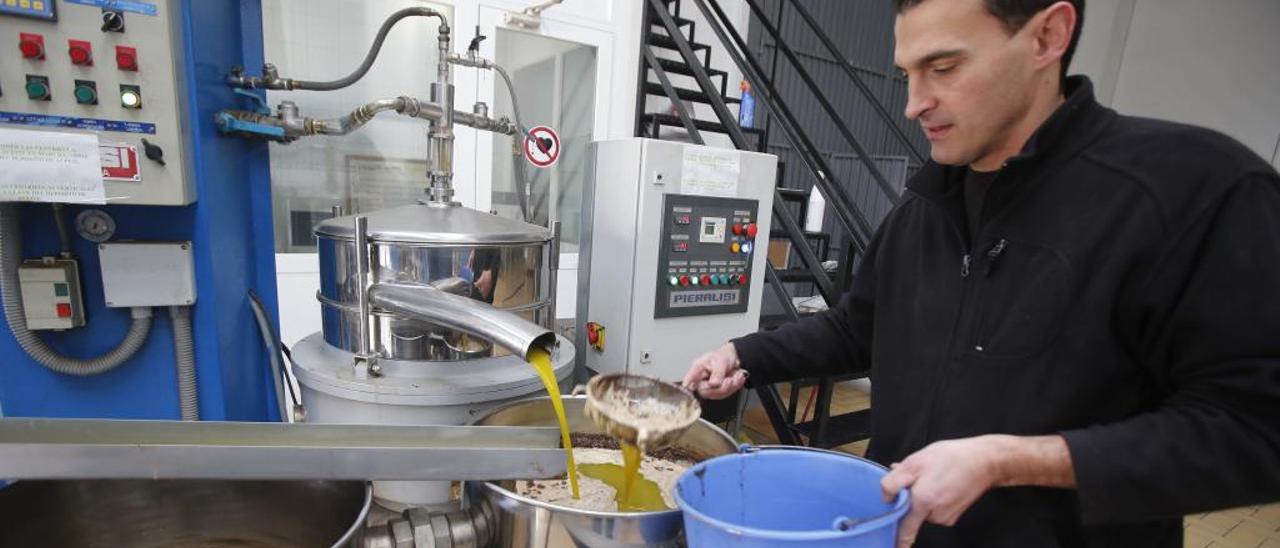 Un operario controla uno de los pasos de producción de aceite en una almazara de Turís.