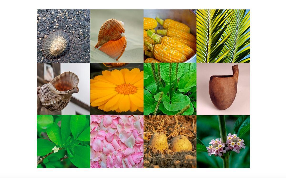 Captura del proyecto 'Rituales Híbridos' de Acciónalcubo.