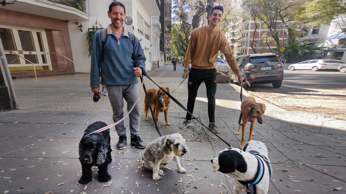 Paseadores de perros