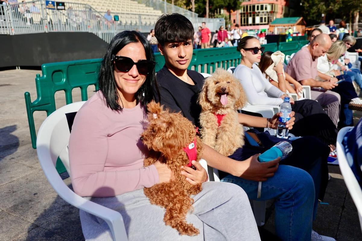 Carnaval Canino de Las Palmas de Gran Canaria 2026