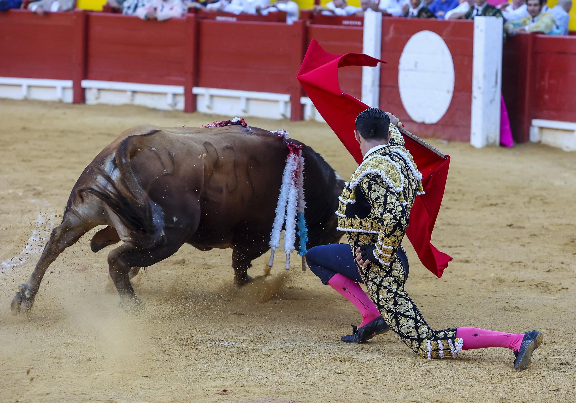 La quinta de la Feria de Hogueras