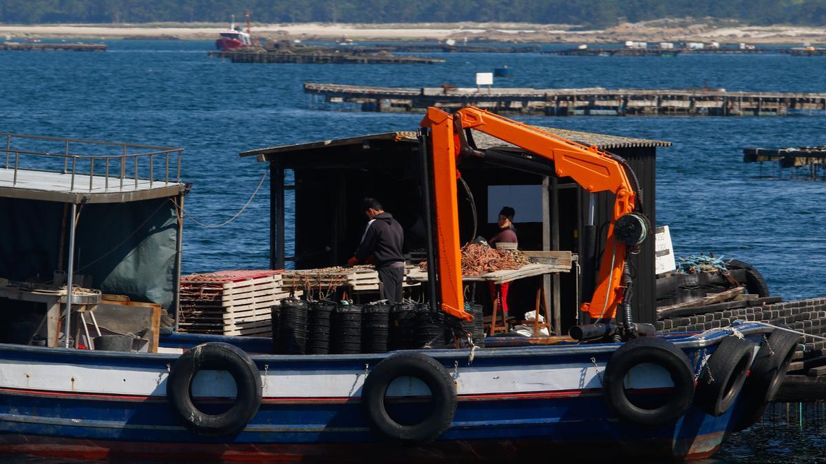 Los bateeiros son un reclamo turístico en los viajes en catamarán