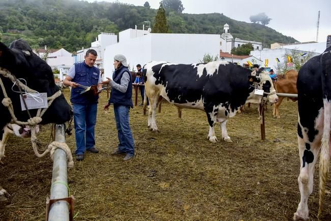 Día grande de las fiestas de San Vicente Ferrer ...