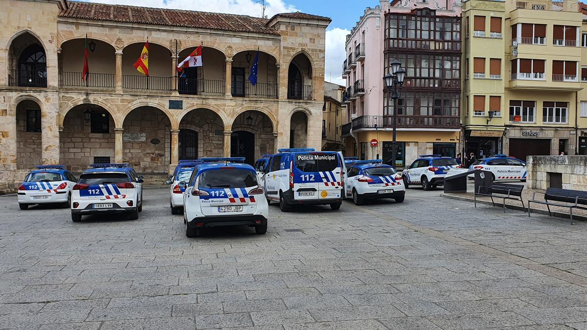 Vehículos de la Policía Municipal aparcados en la Plaza Mayor de Zamora.