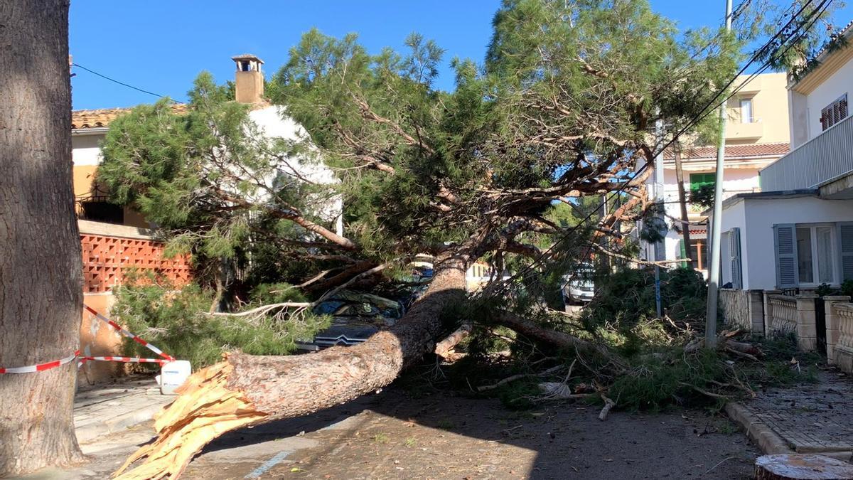 Los estragos de 'Hortense' en Mallorca