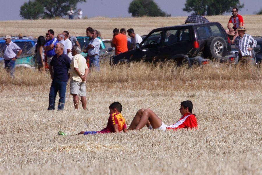 Fiestas en Zamora: Encierro campero en VIllaescusa