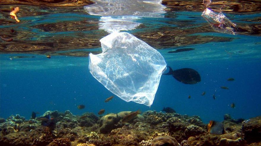 La lucha de los pescadores de Castellón por limpiar el mar que ensuciamos