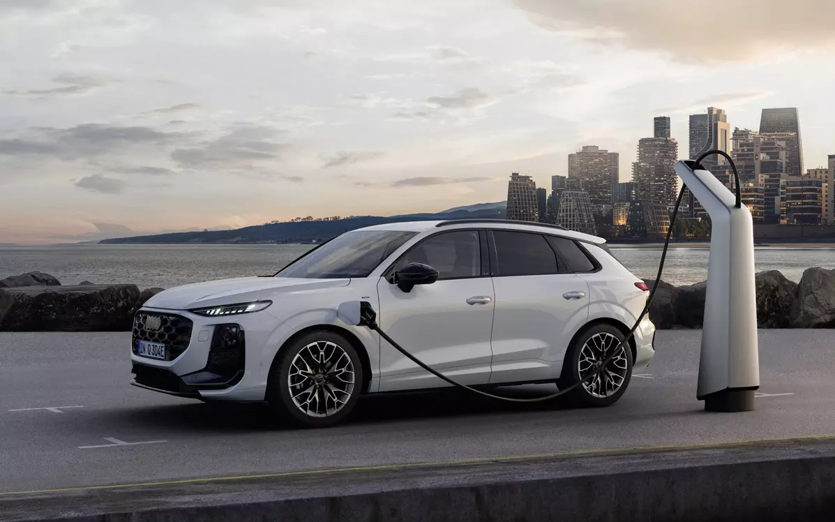 30835bf5-ef8d-44bc-bb5c-12ebea79f8ef_sou