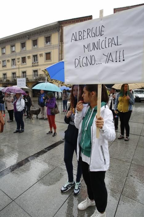 Concentración para reclamar un albergue de animales en Avilés