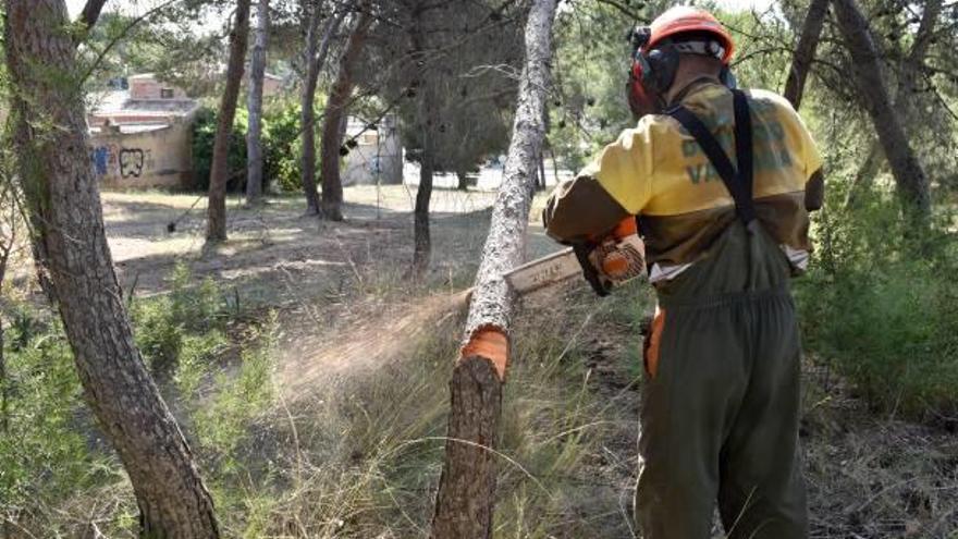 Trabajos de Divalterra en el bosque de la Vallesa.