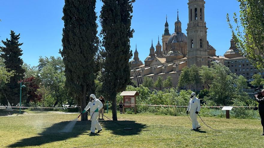 Lucha contra las garrapatas en Zaragoza: estos son los parques en los que se va a actuar