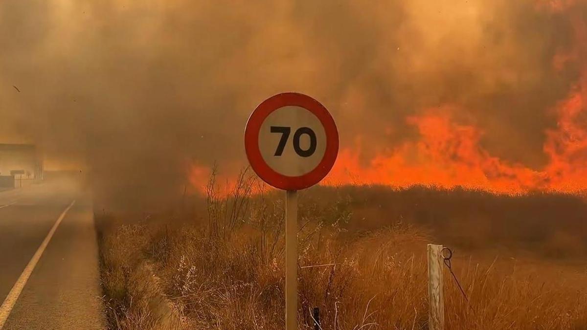 Incendio declarado en la Vall d'Uixó (Castellón).