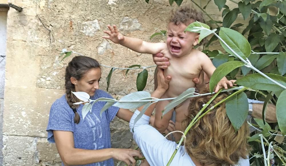 Sant Joan en la Part Forana