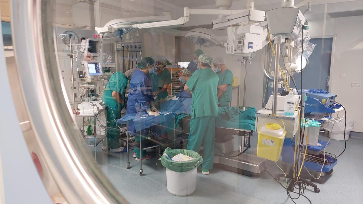 Un momento de la intervención de lesiones tiroideas en el hospital de Elda.