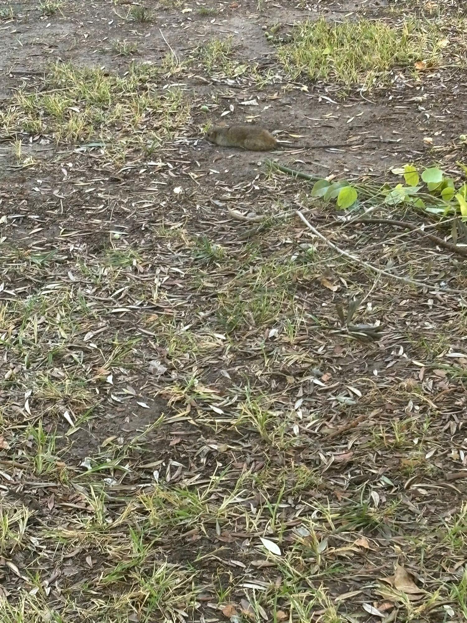 WhatsApp Image 2025-10-13 at 17.09.58 (1).jpeg