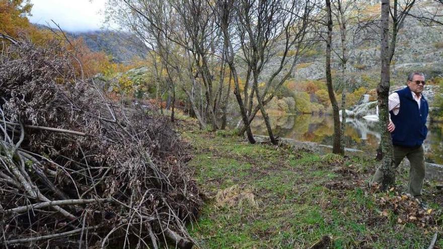 Restos de la poda acumulados en la vega del río Tera.