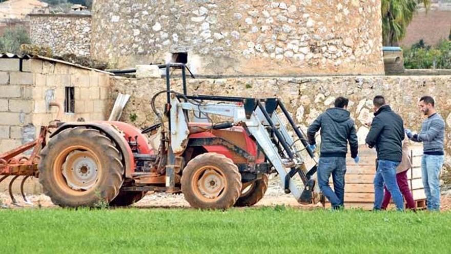 Agentes de la Guardia Civil examinan el tractor donde se produjo, ayer, el trágico accidente laboral.