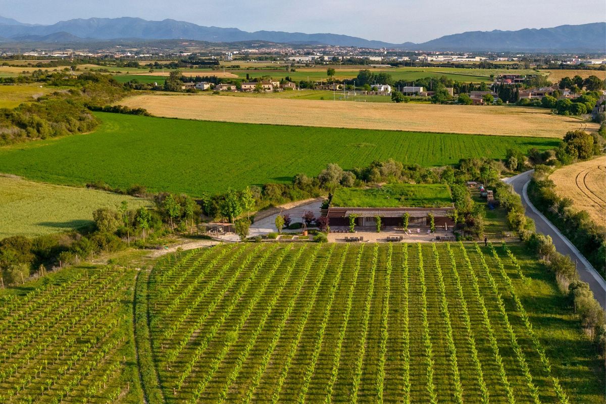 Vins de taller, Siurana