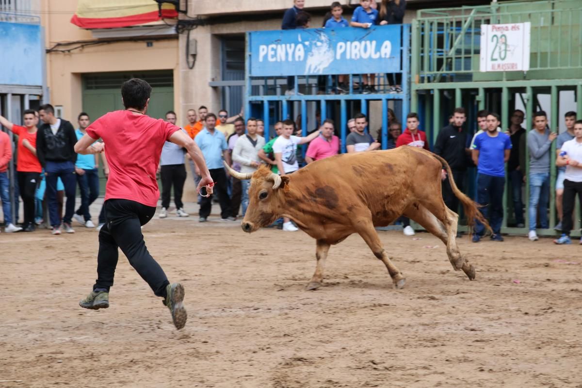 Fiestas patronales de Santa Quitèria de almassora III