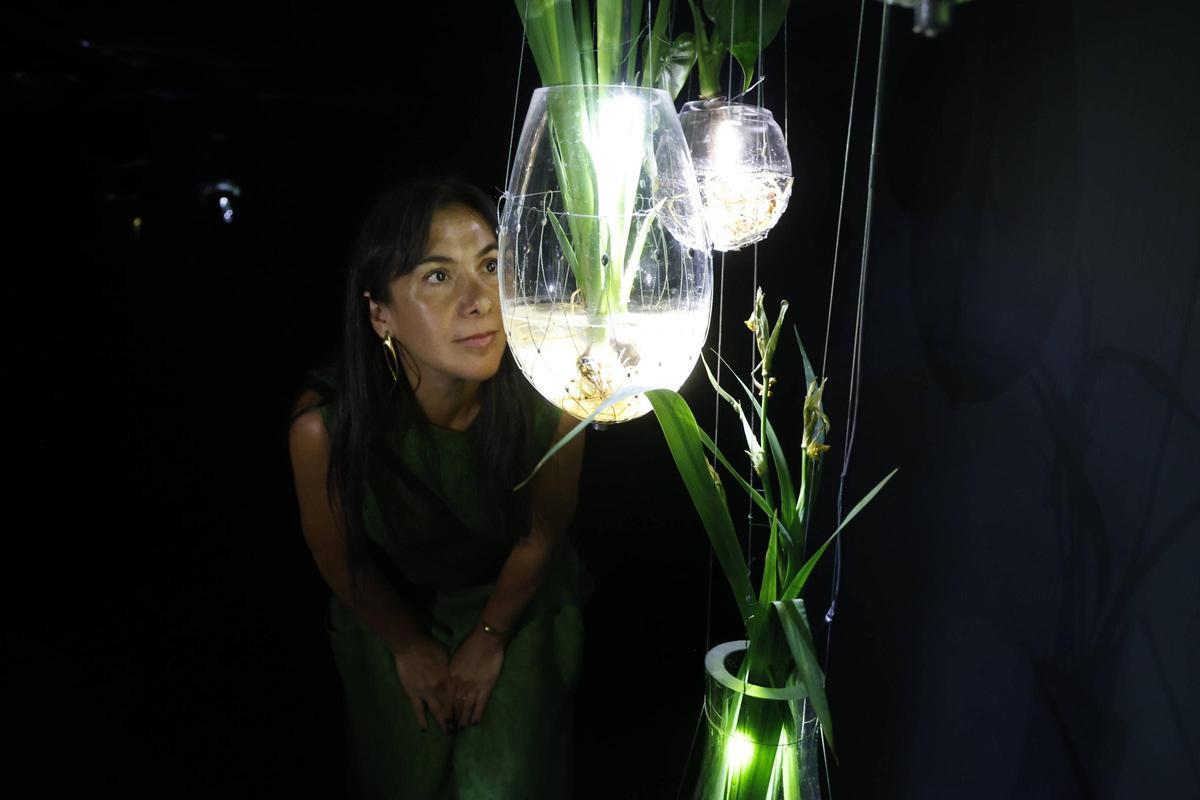 Tania Candiani inaugura en el IVAM la exposición inmersiva 'Radix'