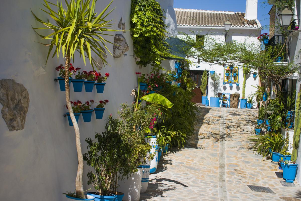 Alozaina festeja y rinde homenaje a sus orígenes en su Feria de la Aceituna de Alozaina