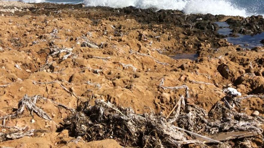 El temporal escupe cientos de toallitas contaminantes en Xàbia