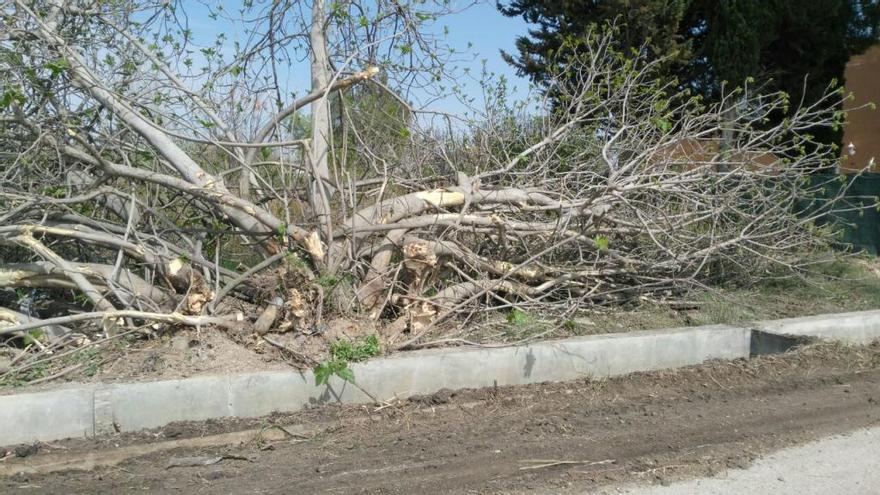 Las obras ya han comenzado con el desbroce de la zona.