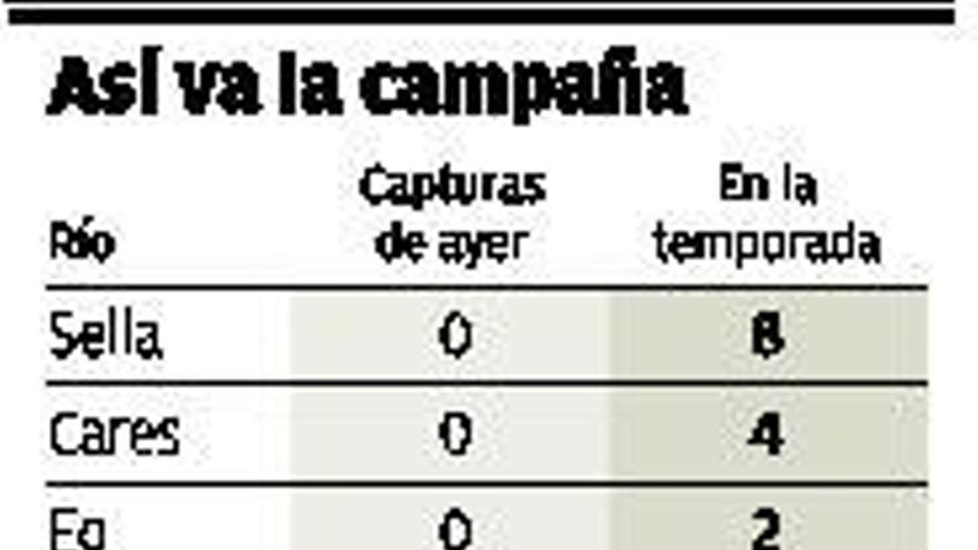 La cuenta se incrementa con cuatro salmones  del viernes