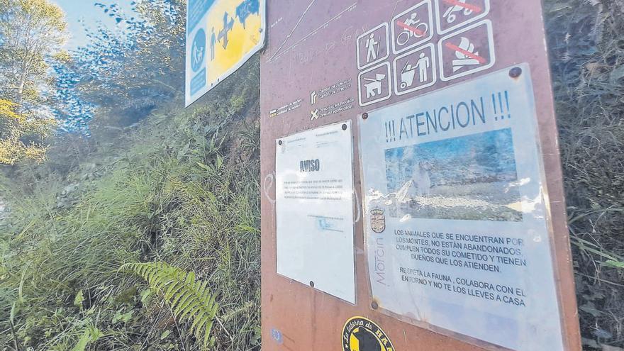 El campo asturiano reclama una ley para protegerse del turismo y de los &quot;nuevos colonizadores&quot;