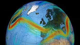 El cambio climático ha reducido un 40% la producción de fitoplancton en el Mediterráneo noroccidental