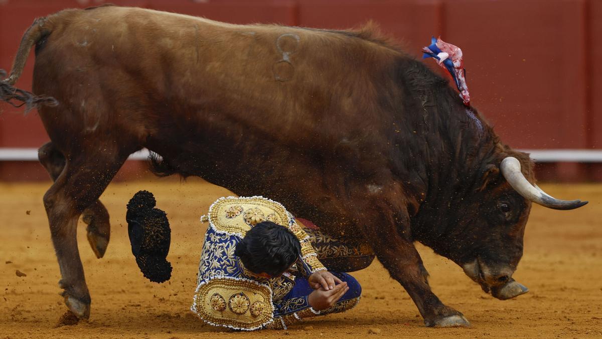 FOTOGALERÍA | Imágenes de la cogida de Morante de La Puebla en la Maestranza