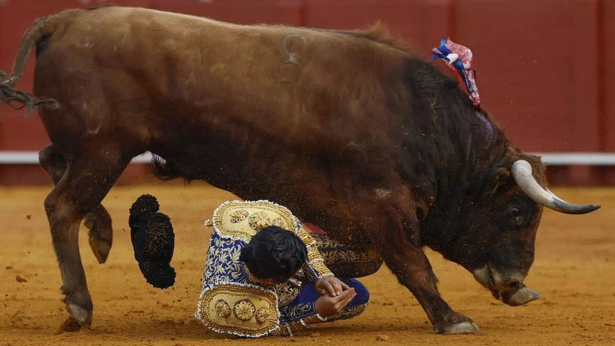 La grave cornada en Sevilla paraliza la contratación de Morante para la Feria de Hogueras de Alicante
