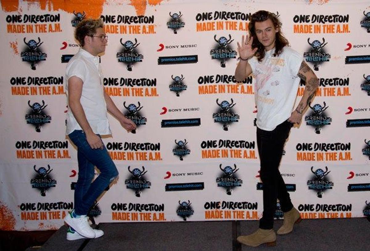 Harry Styles y Niall Horan antes de posar en el photocall