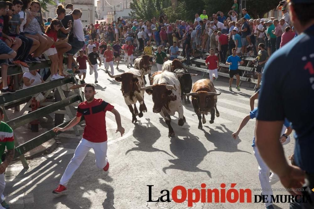 Tercer encierro en Calasparra